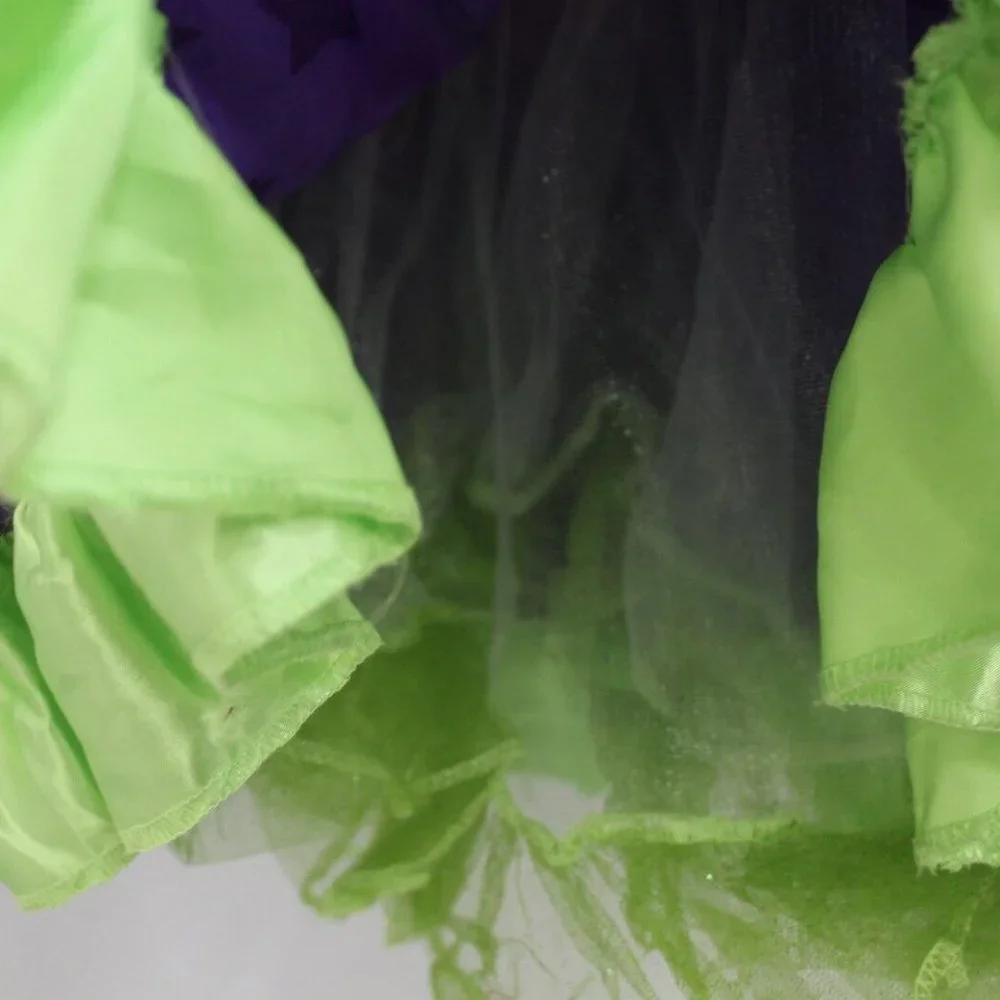 Nickelodeon Little Charmers Hazel's Dress Costume Pretend Play Halloween